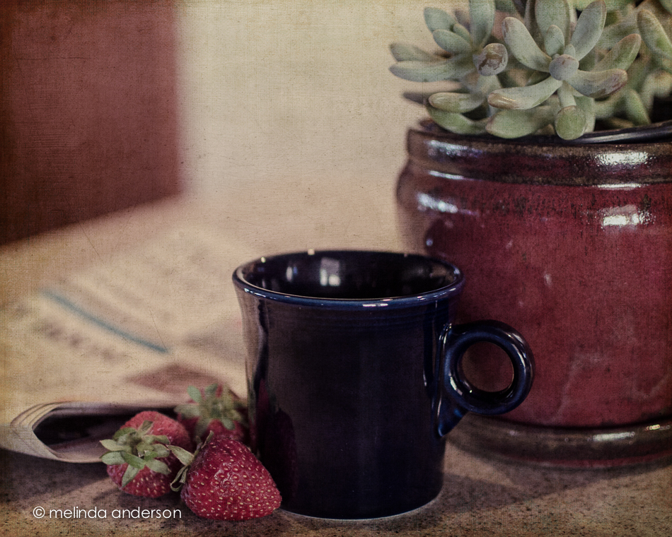 20140831-DSC_3736_melinda_anderson-Edit