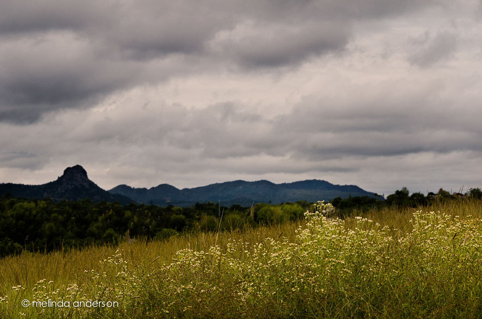 20140917-DSC_4134_melinda_anderson-Edit-2