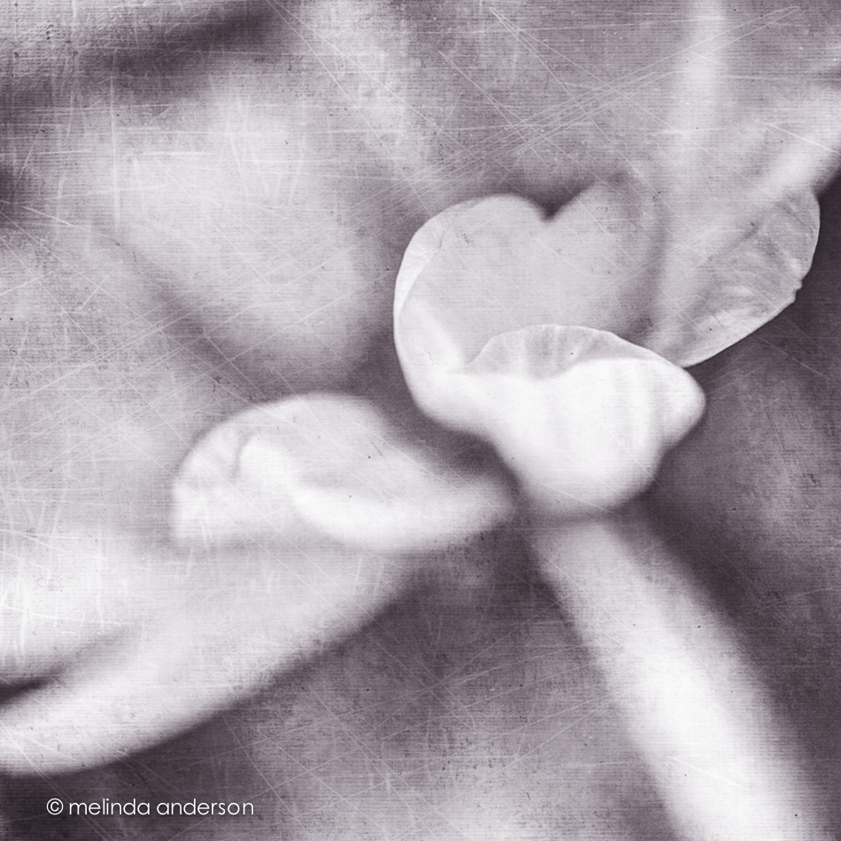 20140922-DSC_4244_melinda_anderson-Edit-4