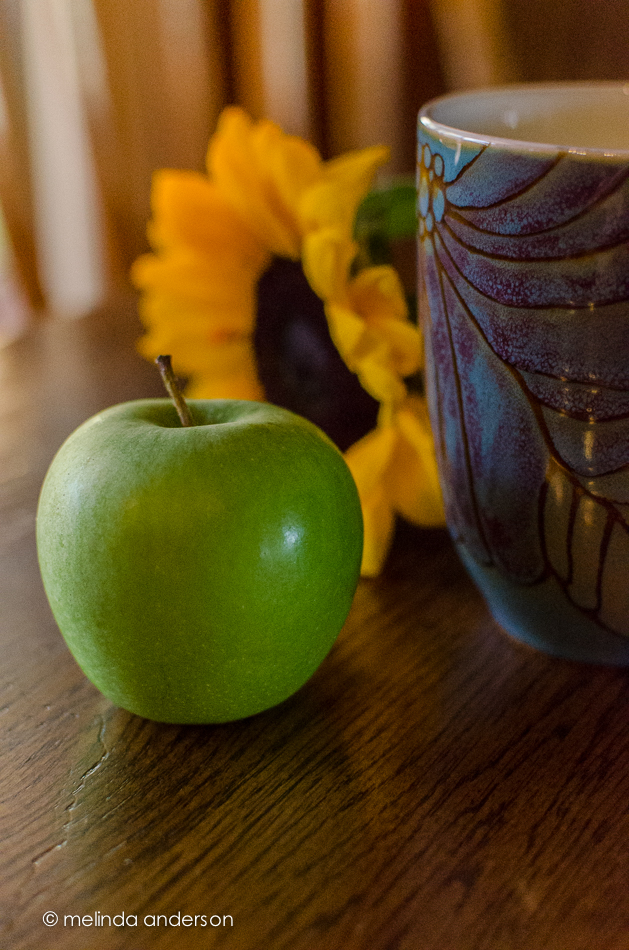 20140925-DSC_4291_melinda_anderson