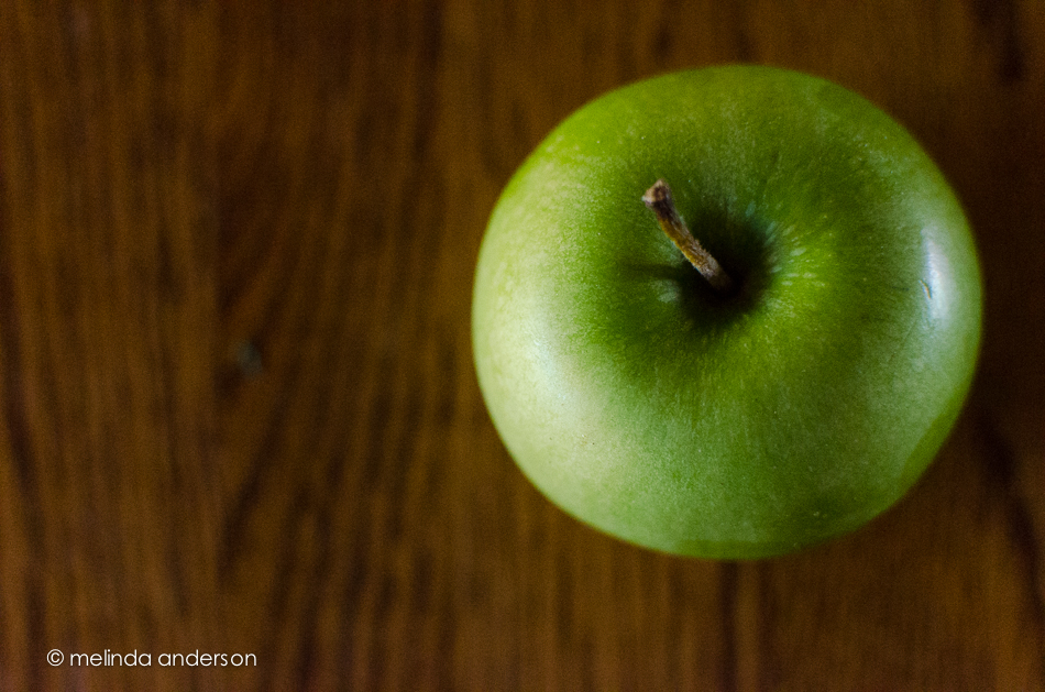 20140925-DSC_4296_melinda_anderson