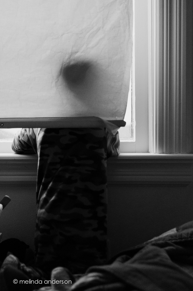 20141005-DSC_4727untitled