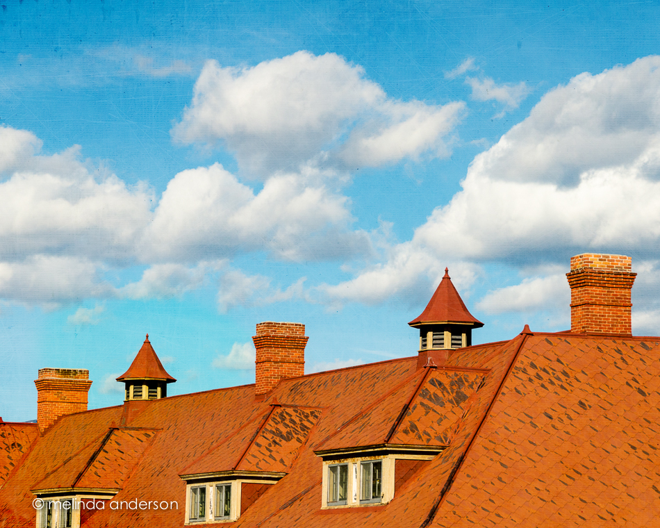 20141005-DSC_4778untitled-Edit