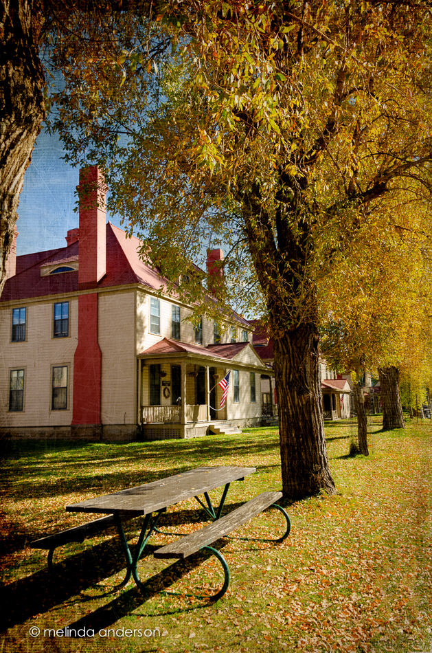 20141005-DSC_4786untitled-Edit