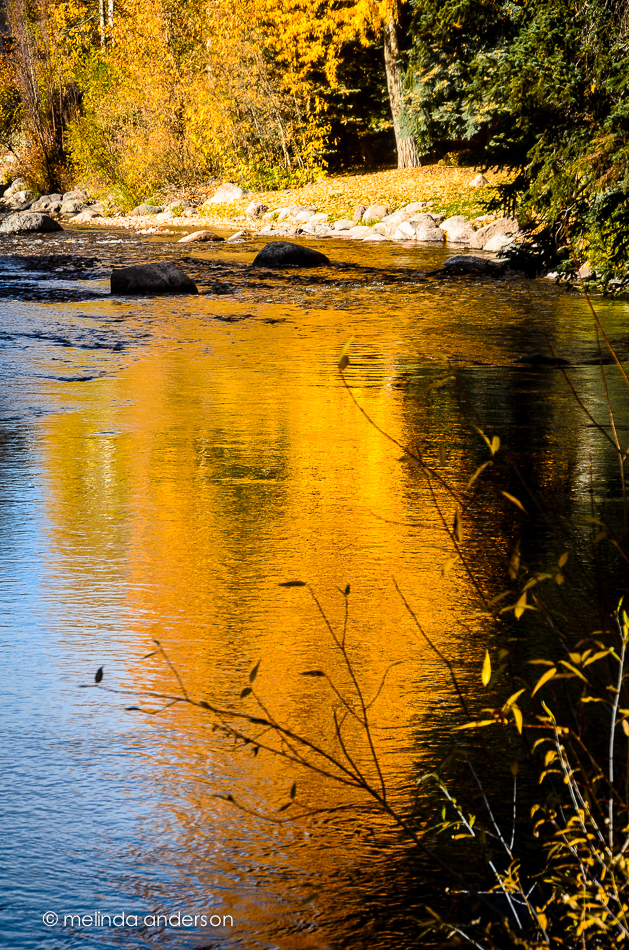 20141018-DSC_5503_melinda_anderson