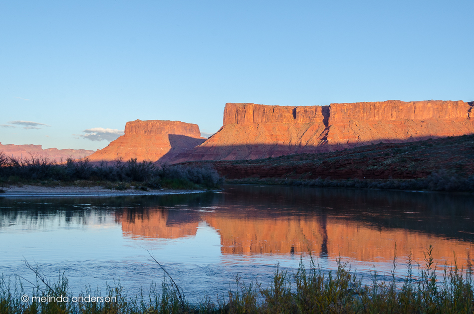 20141020-DSC_5962_melinda_anderson