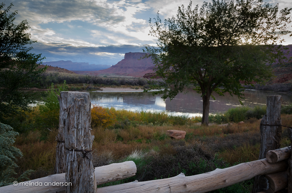 20141021-DSC_6030_melinda_anderson