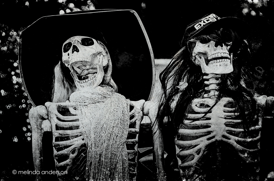 20141031-DSC_6296_melinda_anderson-Edit