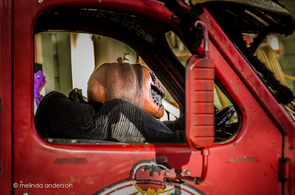 20141031-DSC_6299_melinda_anderson