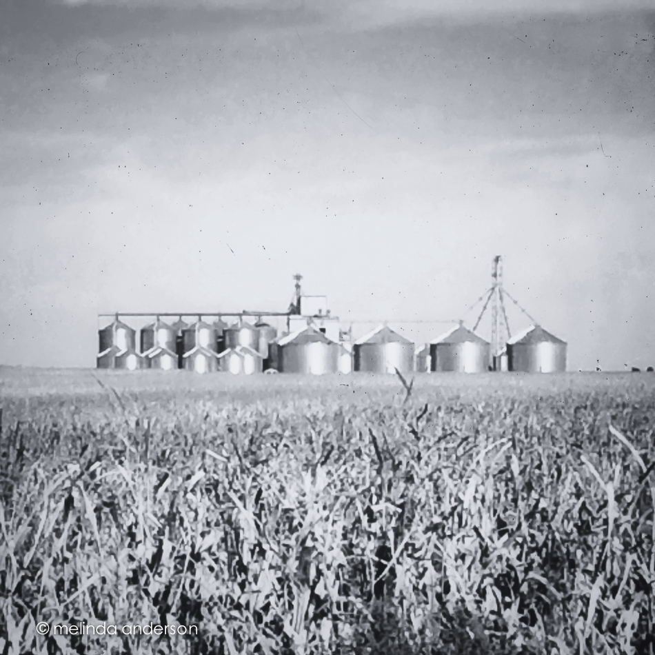 Photo Oct 16- 10 31 37 AM