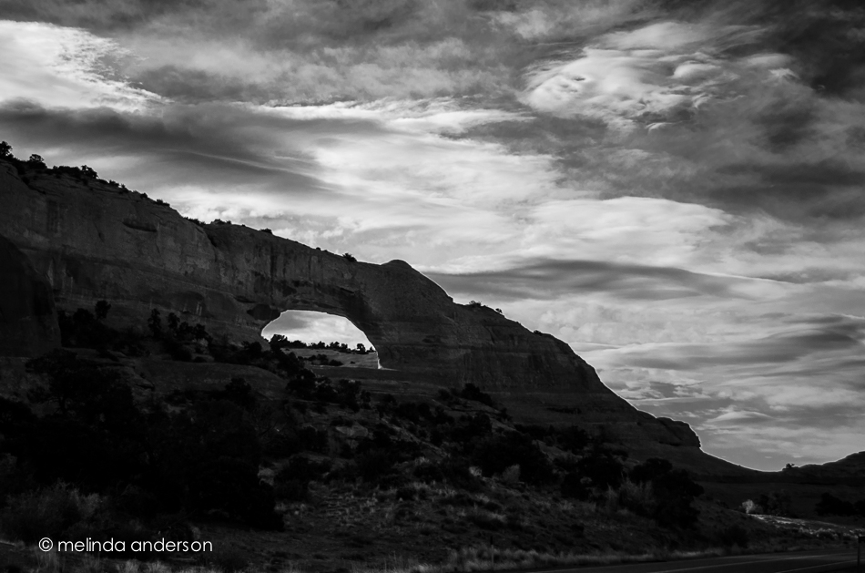 20141021-DSC_6073_melinda_anderson