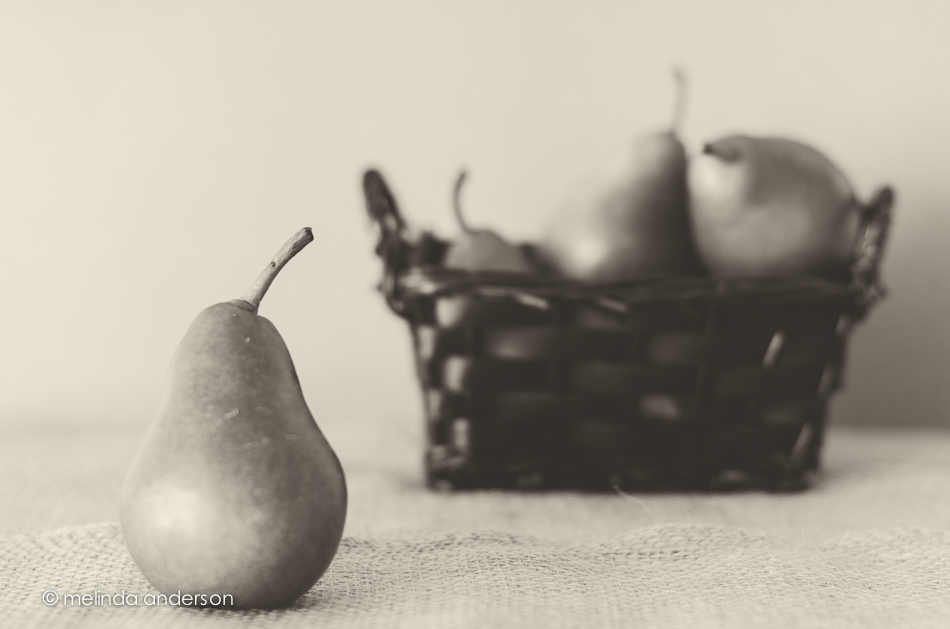 20141029-DSC_6248_melinda_anderson