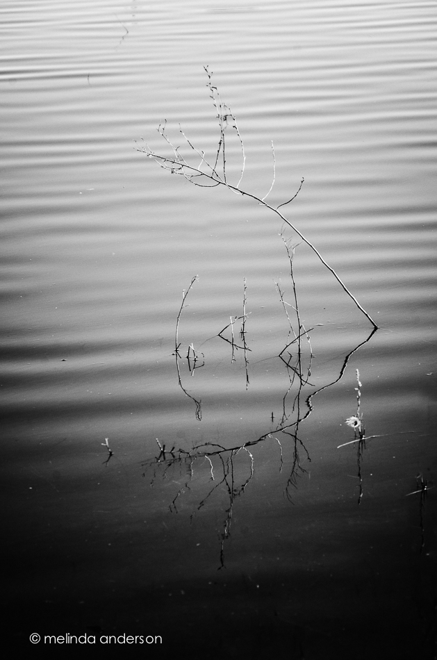 20141103-DSC_6376_melinda_anderson-Edit