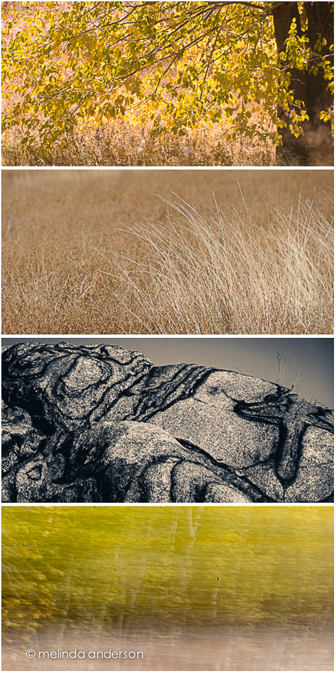 20141111-trail_melinda_anderson