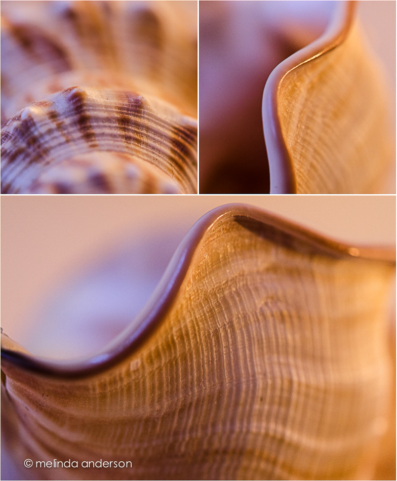 20141118-shell_layout2-2_melinda_anderson