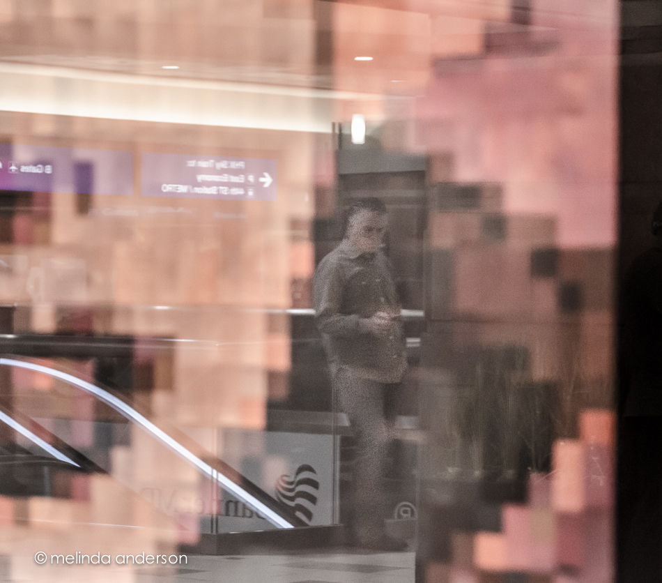 20141121-DSC_7083_melinda_anderson