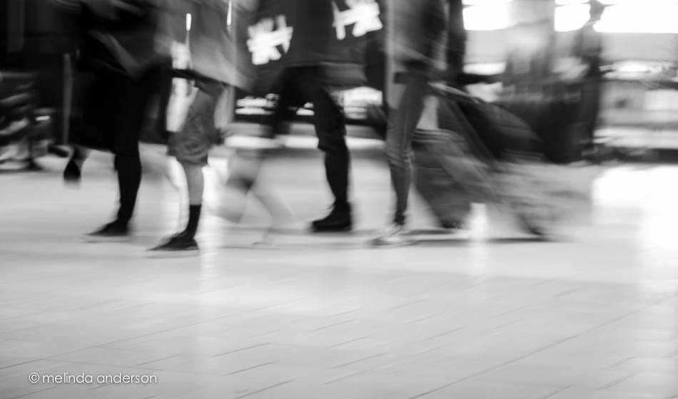 20141121-DSC_7104_melinda_anderson