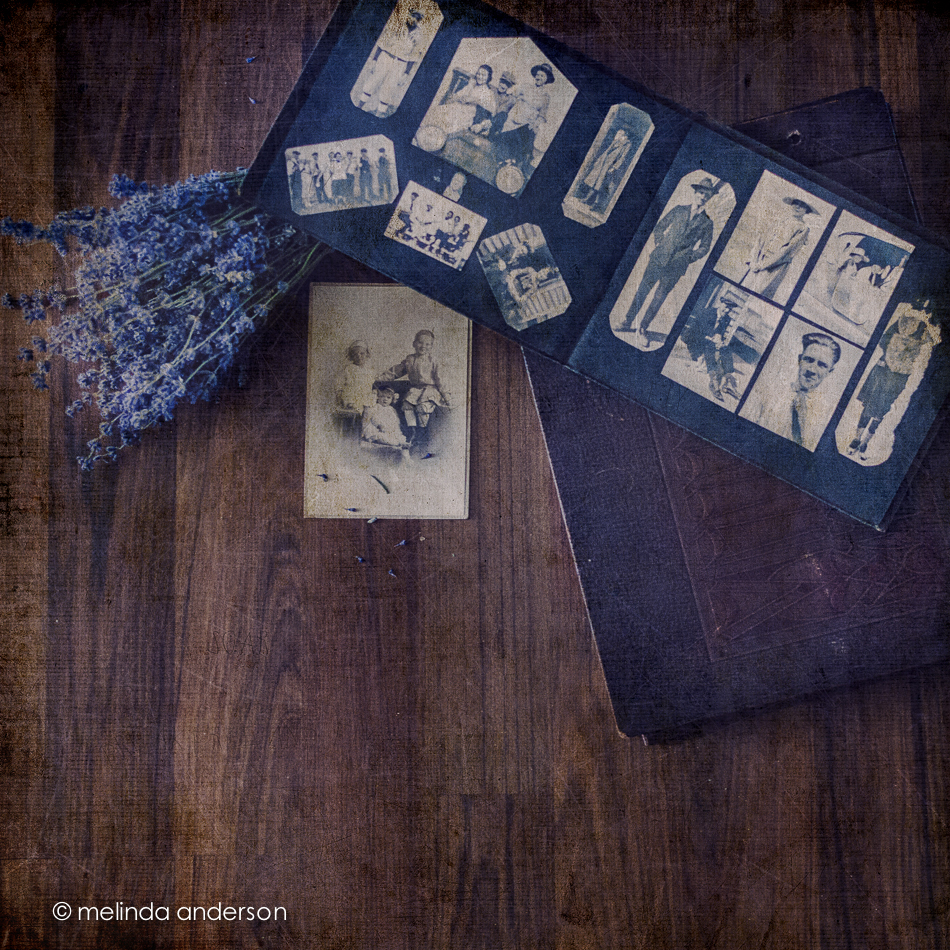 20141129-DSC_7307_melinda_anderson-Edit