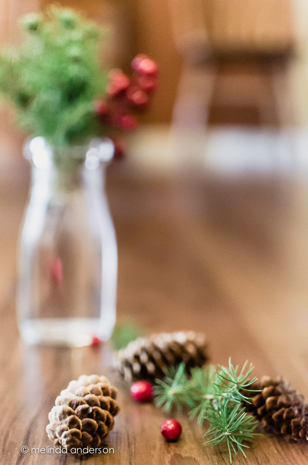 20141130-DSC_7333_melinda_anderson