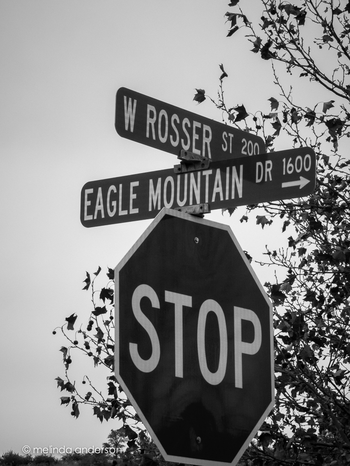 20141206-IMG_0067_melinda_anderson