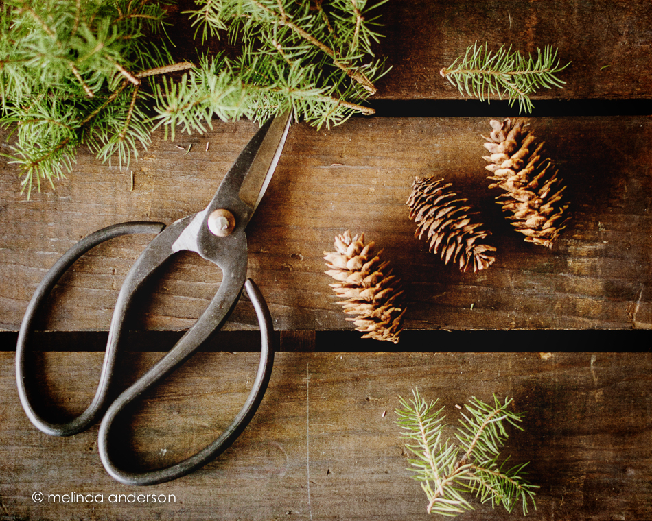 20141207-DSC_7556_melinda_anderson-Edit