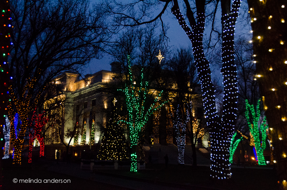 20141208-DSC_7574_melinda_anderson