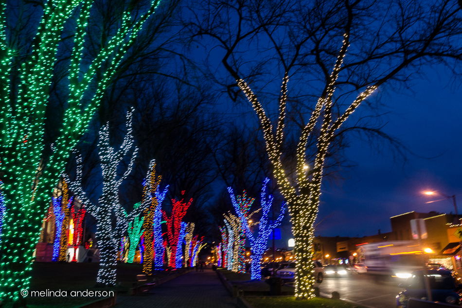 20141208-DSC_7592_melinda_anderson