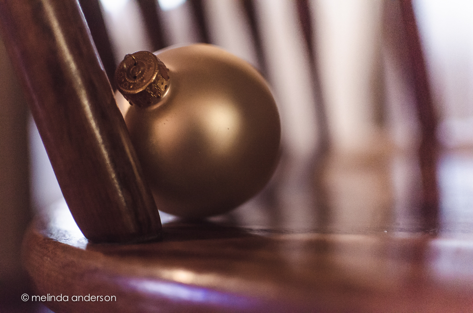 20141221-DSC_7878_melinda_anderson