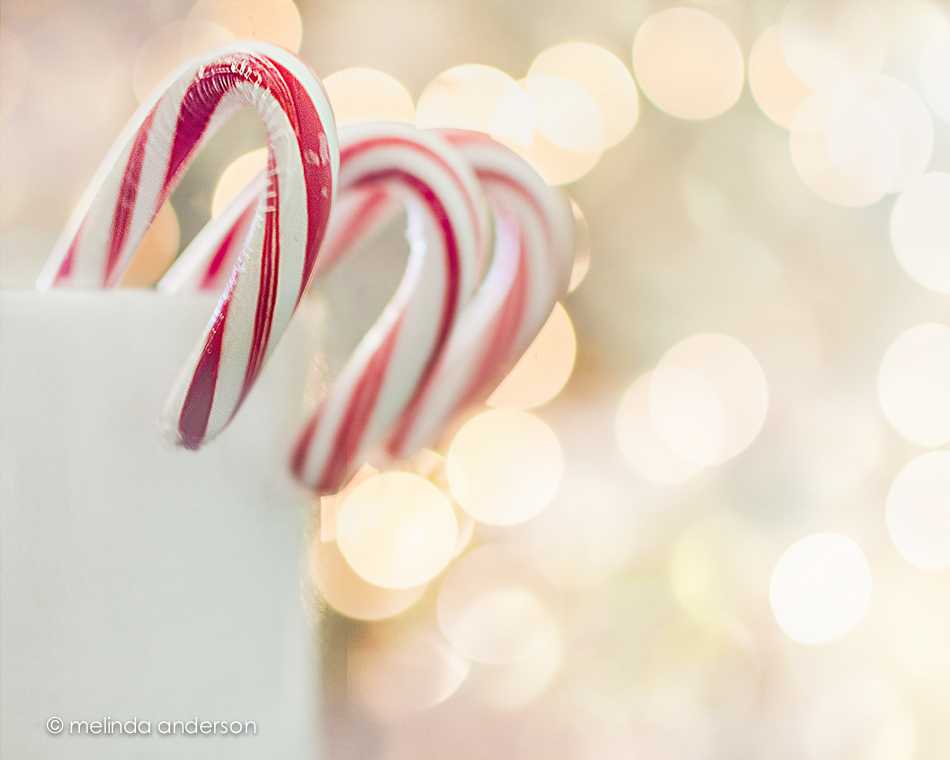 20141223-DSC_7928_melinda_anderson-Edit