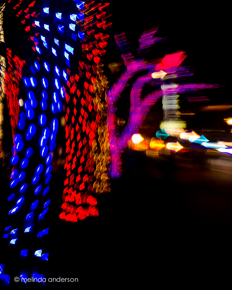 20141230-DSC_9415_melinda_anderson