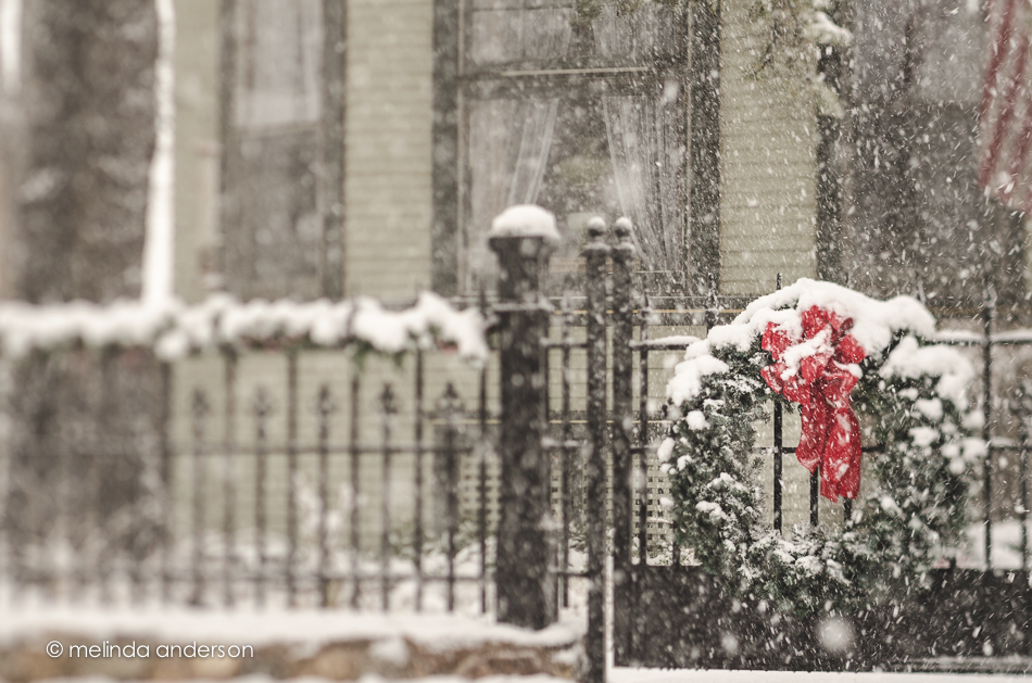 20141231-DSC_9606_melinda_anderson