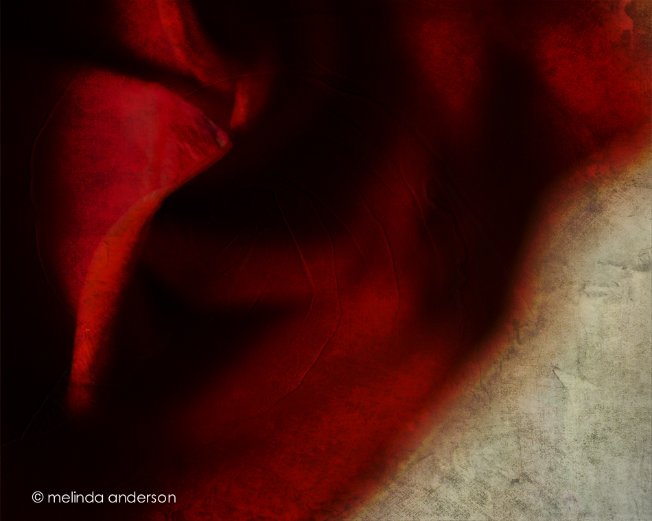 041 _20150103-DSC_0037_melinda_anderson-Edit