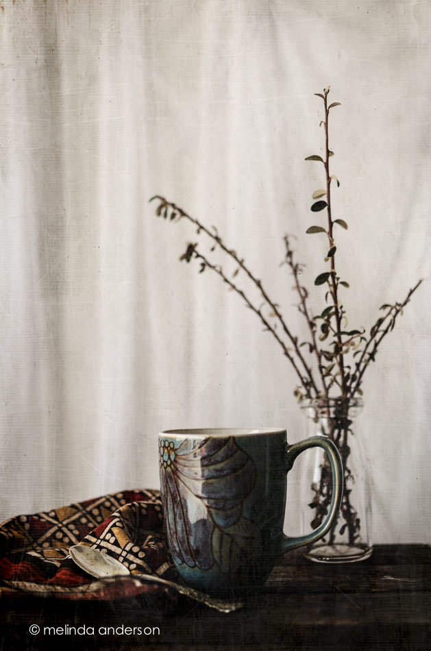 20150120-DSC_1297_melinda_anderson-Edit-Edit copy