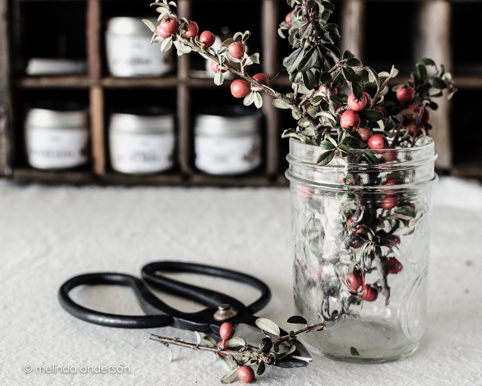 20150131-DSC_1777_melinda_anderson