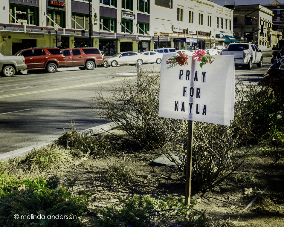 20150207-DSC_2138_melinda_anderson-Edit