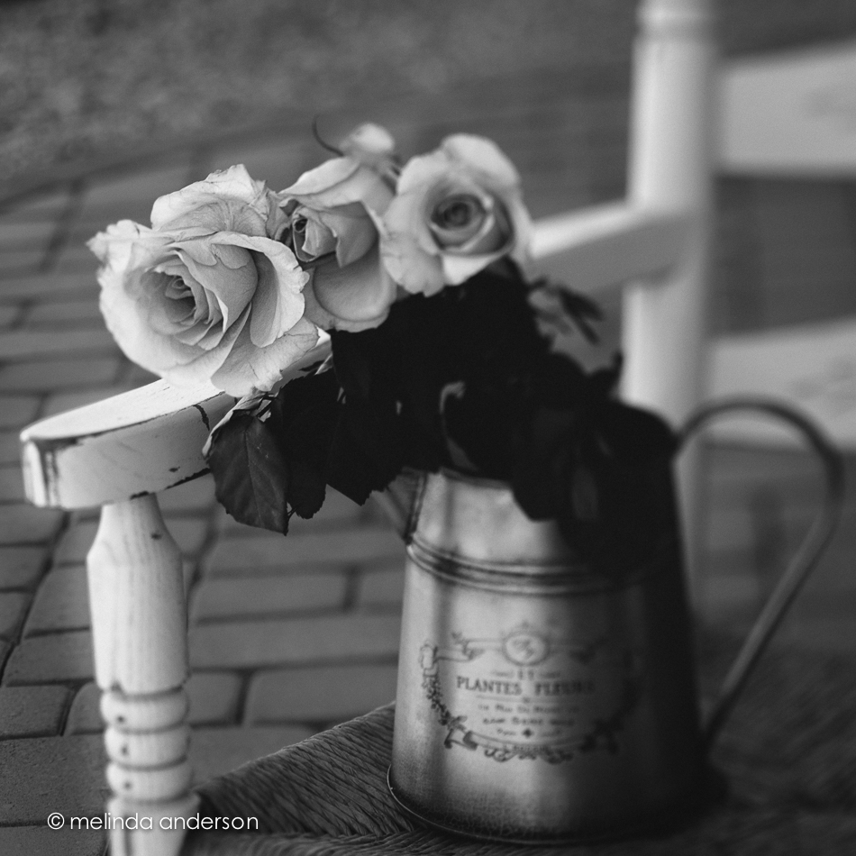 20150208-DSC_2223_melinda_anderson-Edit