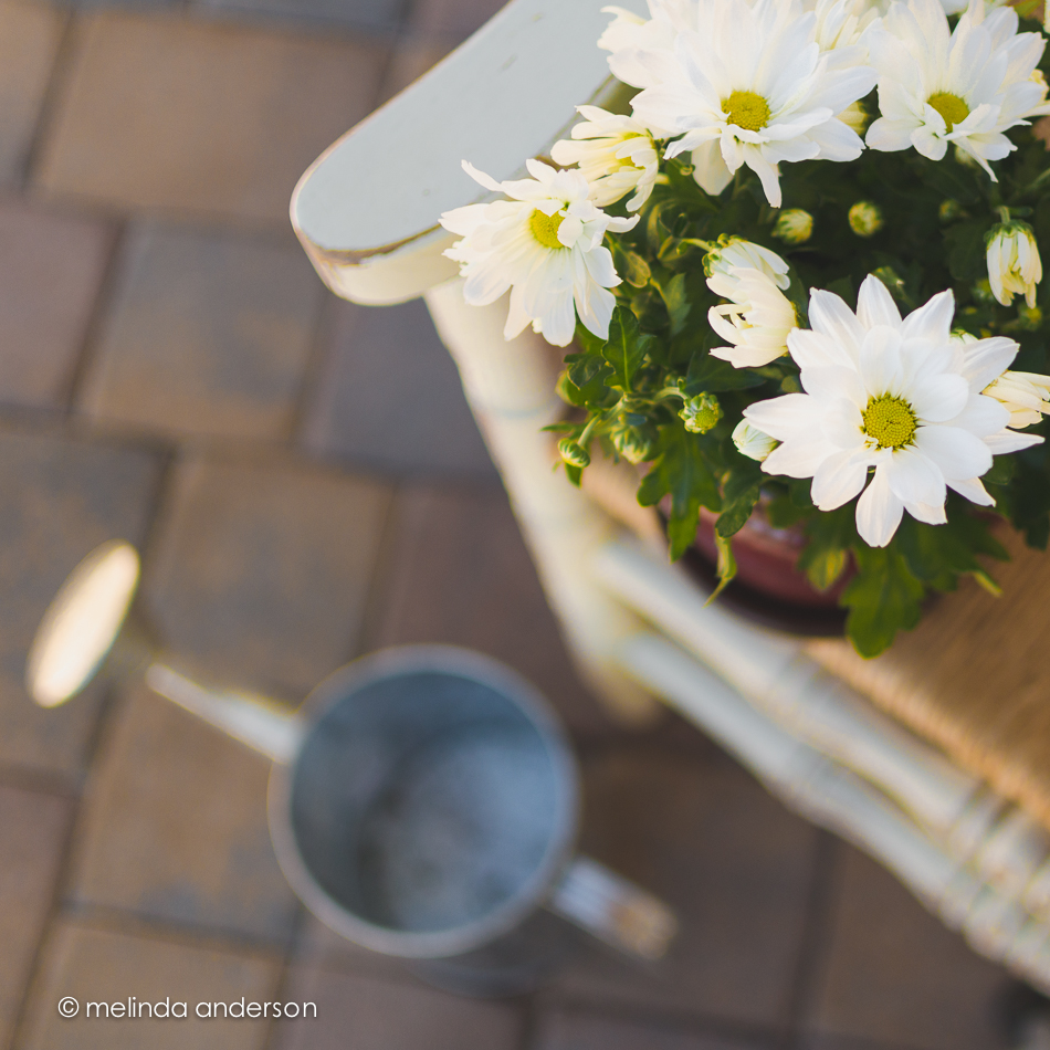 20150208-DSC_2230_melinda_anderson