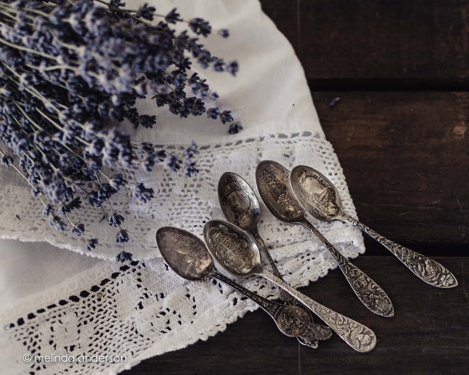 20150217-DSC_2800_melinda_anderson