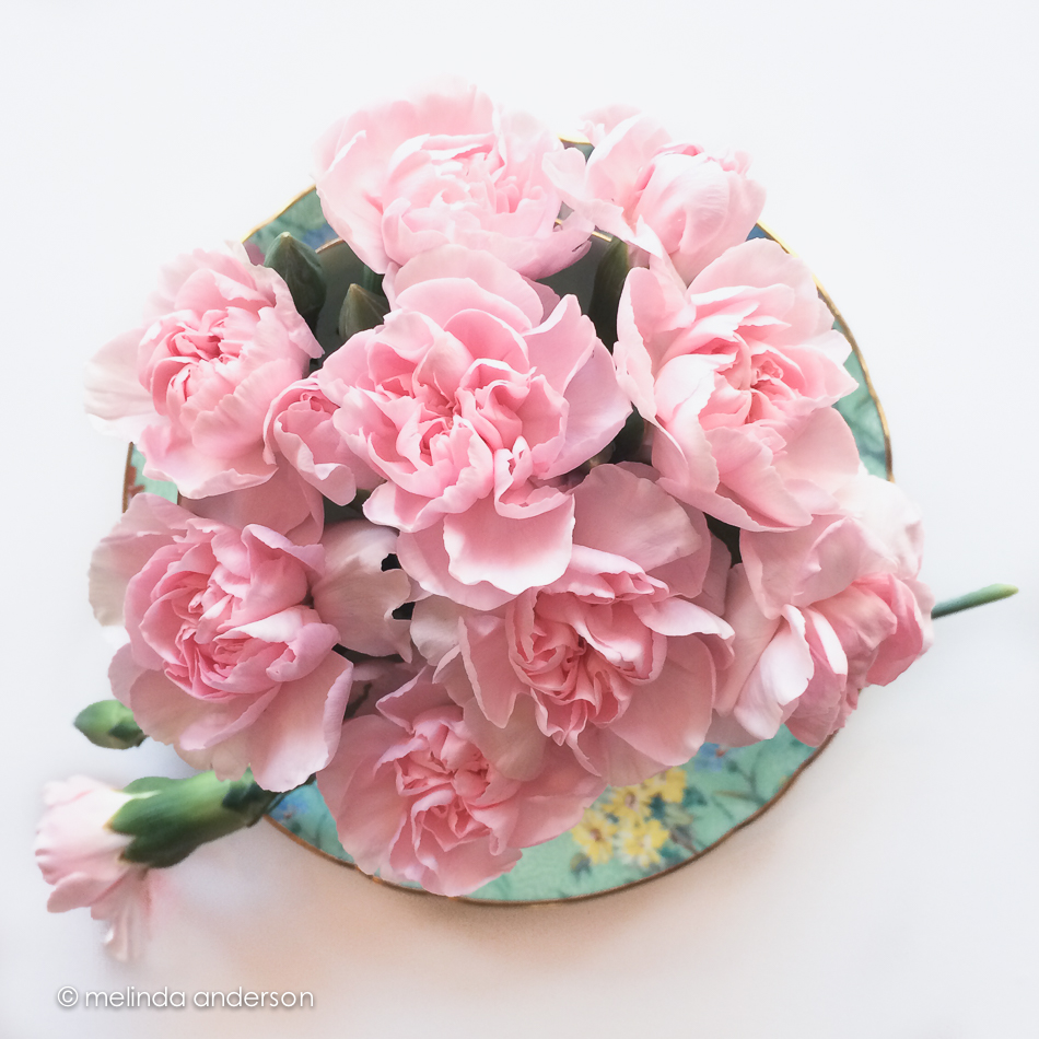 Photo Feb 24- 10 00 14 AM