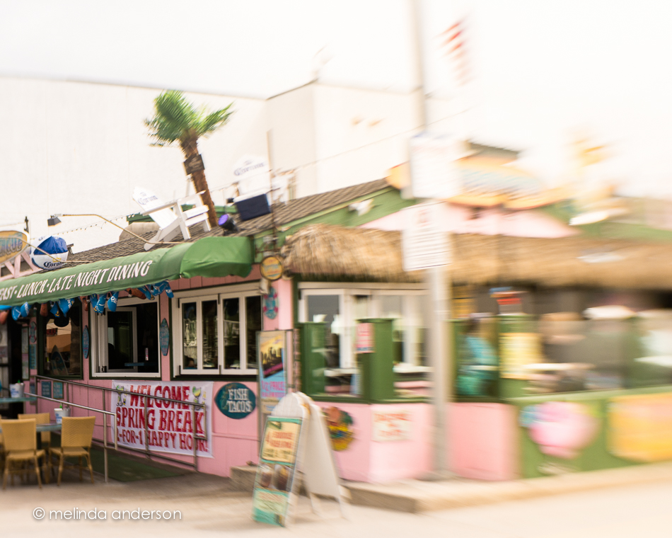 20150311-DSC_0051_melinda_anderson