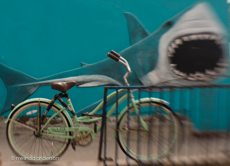 20150311-DSC_0068_melinda_anderson-Edit