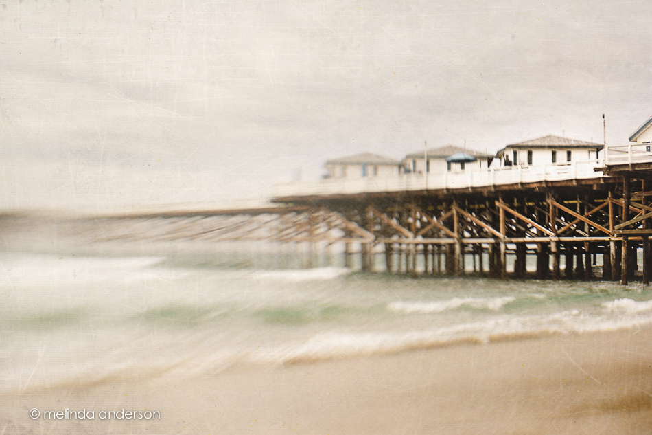 20150311-DSC_0143_melinda_anderson-Edit