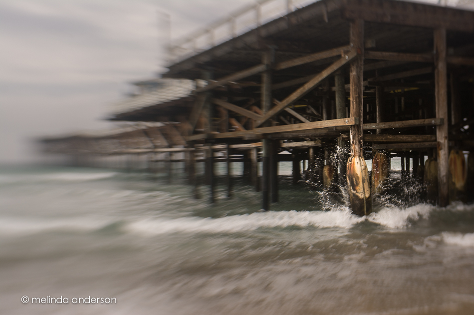 20150311-DSC_0165_melinda_anderson