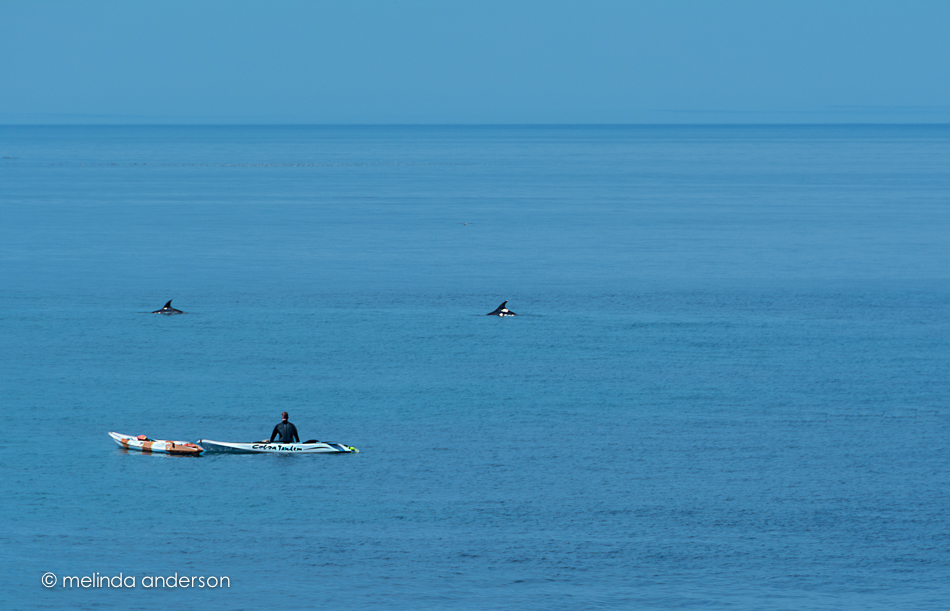 20150315-DSC_1187_melinda_anderson-Edit