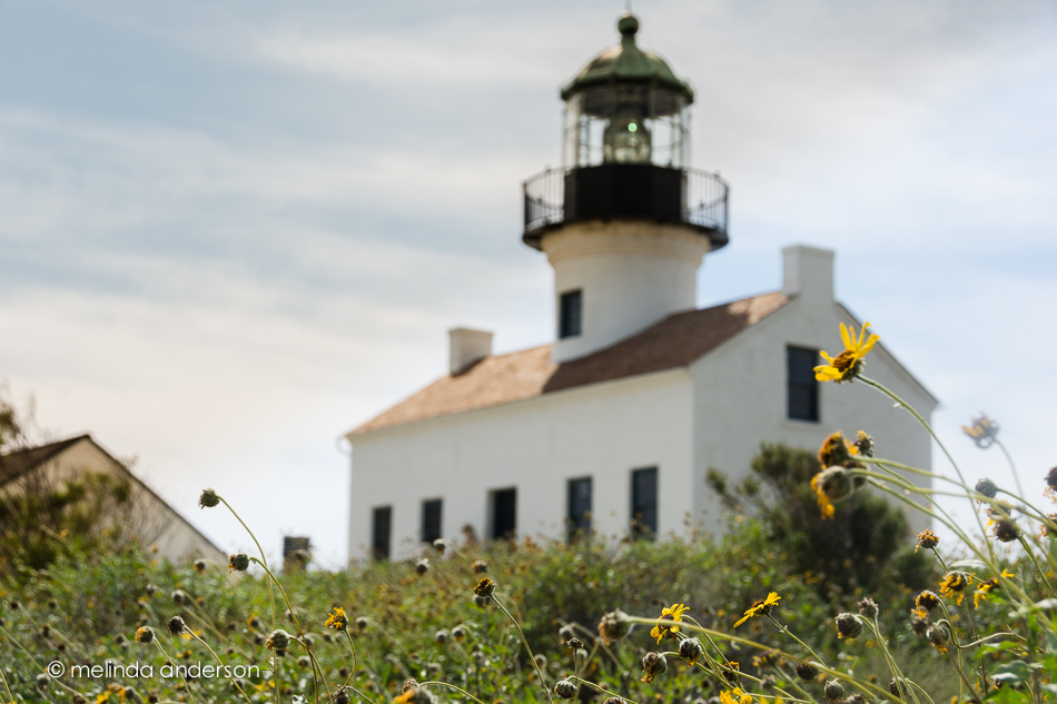 20150315-DSC_1264_melinda_anderson