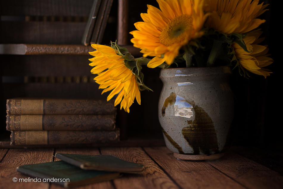 20150327-MMA_2160_melinda_anderson-Edit