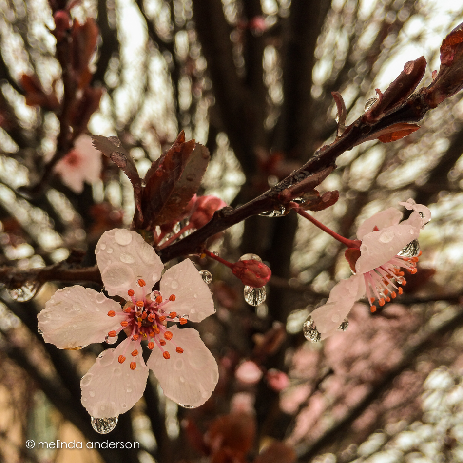 Photo Mar 02- 10 56 00 AM