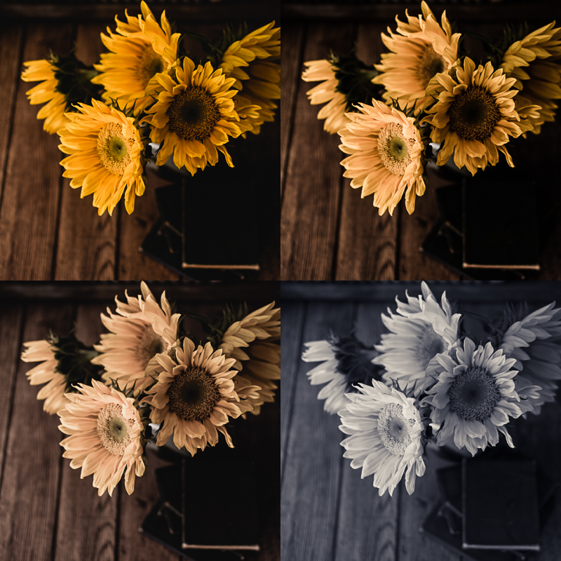 sunflowerpresets