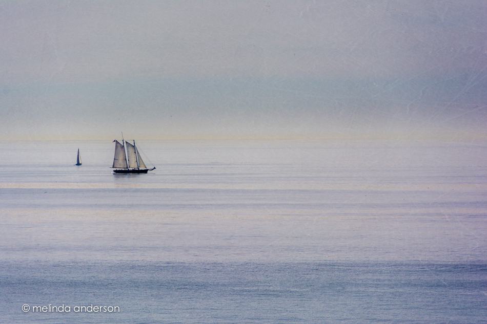 20150316-DSC_1471_melinda_anderson-Edit