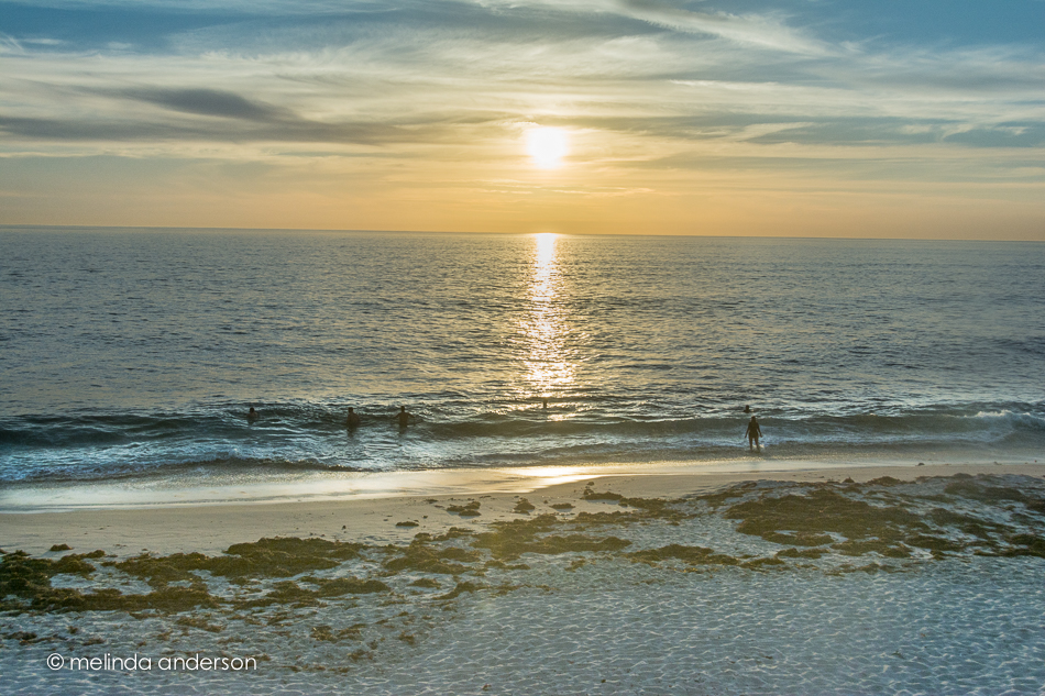 20150316-DSC_1548_melinda_anderson